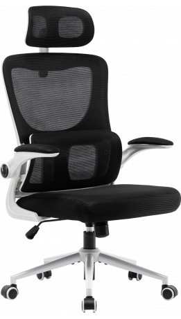 Офісне крісло GT Racer X-5728 White/Black