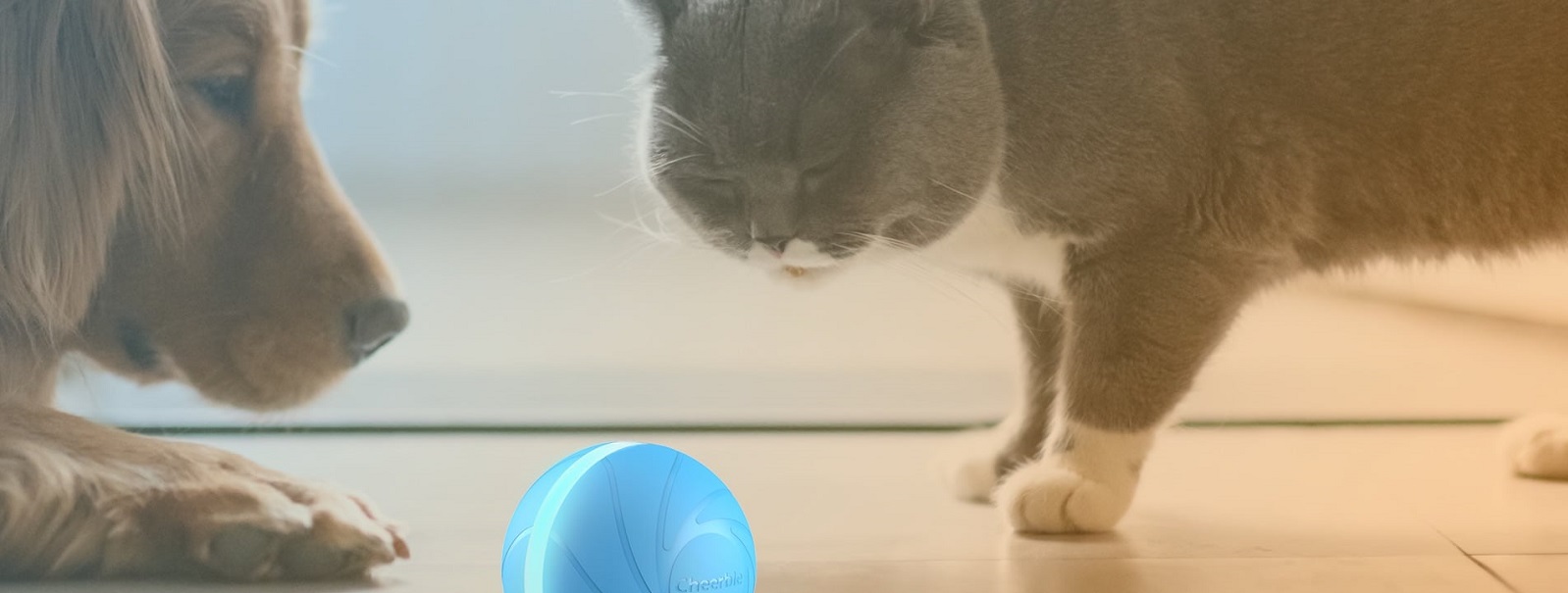 Cheerble's Wicked Ball is a smart toy that likes to play games with your dog