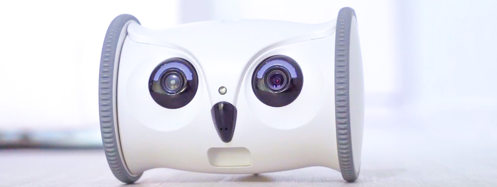 owl robot