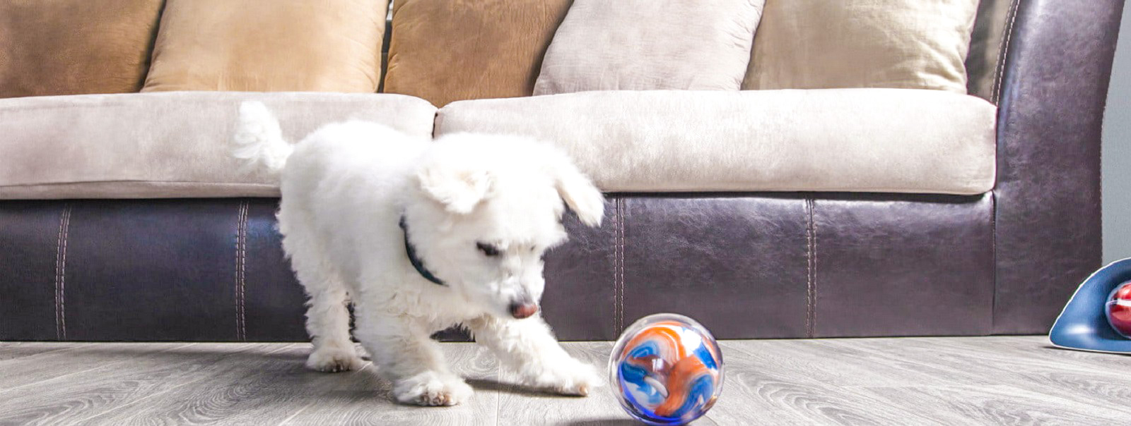Pebby - розумний м'ячик для домашніх тварин