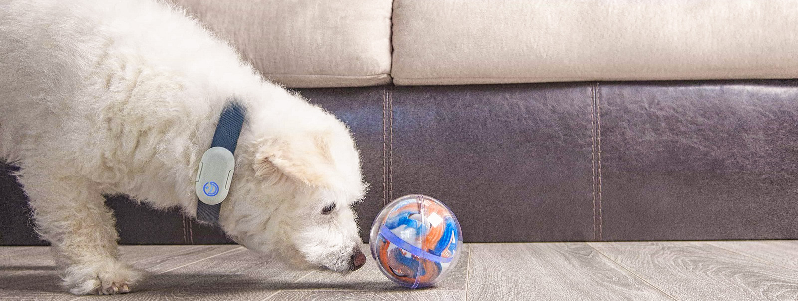 Pebby is a smart auto-charged pet ball